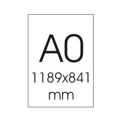 XERO/DRUK czarno-biały A0 wielkoformatowy